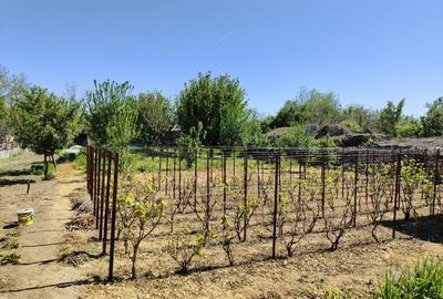 Casă cu 4 camere în Mitreni - 5