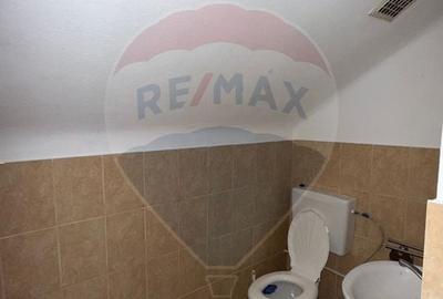 Casă cu 6 camere cu Teren 3610 Mp în Vladimir - 20