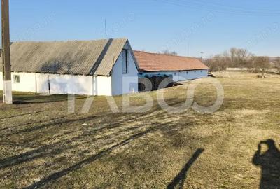 Casă cu 3 camere cu Teren 5039 Mp în Pianu - 2