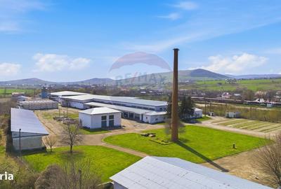 Spațiu comercial, în Central - 2