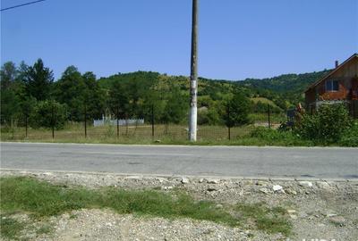 Spațiu comercial, în Eșelnița - 8