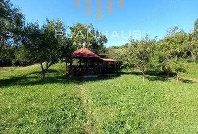 Casa Rohia ,ideala locuit sau pensiune ,zona turistica,45 ari - 3