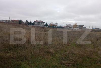 Teren de 9000 mp, în Priseaca - 1