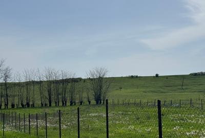 Teren Construcții intravilan de 1508 mp, în Ianova - 4