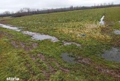 Teren de 833 mp, în Stolnici - 6