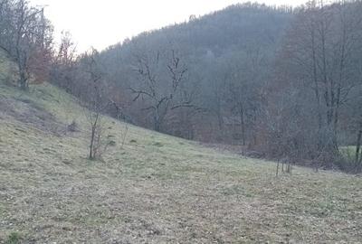 Teren Construcții extravilan de 6900 mp, în Ribița - 1