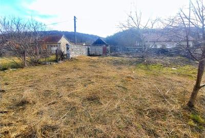 Casă individuală cu 4 camere cu Teren 719 Mp în Ciclova Română - 26