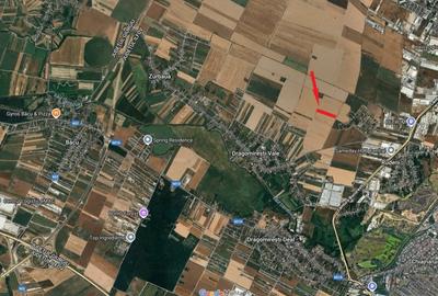 Teren 10.000 mp - Dragomiresti Vale, Ilfov - 1