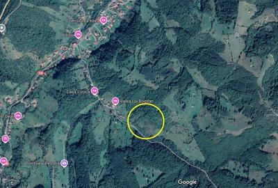 Teren Bran Moieciu zona de pensiuni 10euro mp - 5