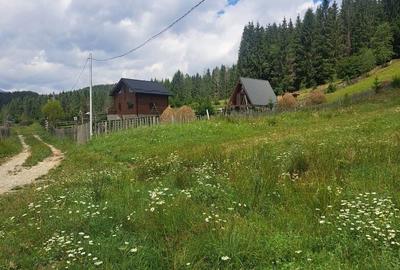 Teren de 2500 mp, în Valea Doftanei - 6