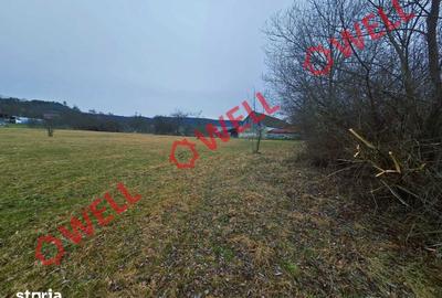 Teren de 5296 mp, în Hoghiz - 5