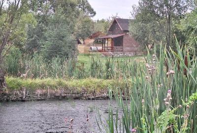 Casă cu 6 camere cu Teren 2700 Mp în Bradu - 3