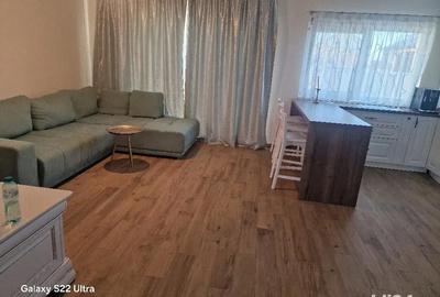 Casă cu 2 camere cu Teren 350 Mp în Dumbrăvița - 3