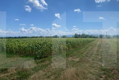 De vanzare teren arabil - 4,58 ha, Moacsa, Covasna - 4