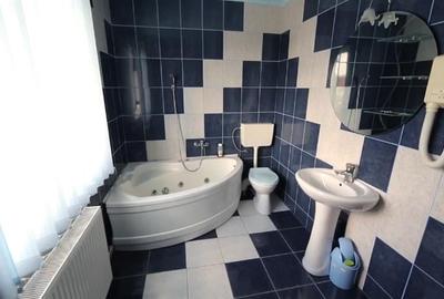 Film! Resedinta cu personalitate,piscina, comod amplasament, 1.000 mp teren - 15