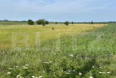 Teren de 4994 mp, în Central - 3