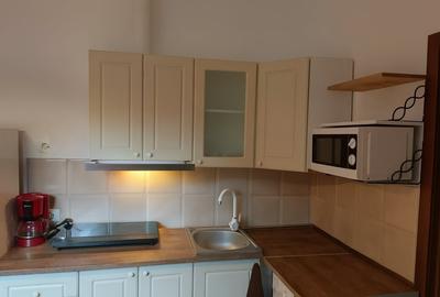 Casa individuala Centrul Civic - 3