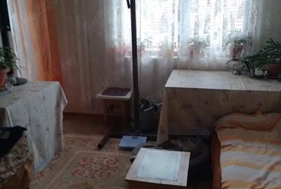 Casă cu 2 camere în Dezna - 2