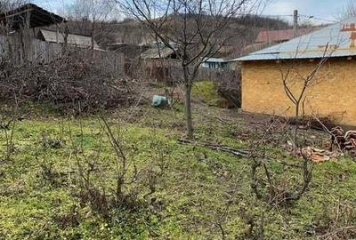 Casă cu 2 camere în Bursuci - 2