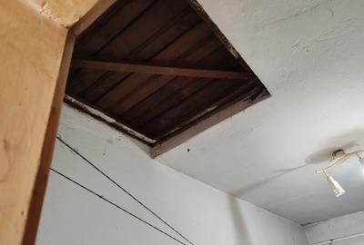 Casa 3 camere libera la vanzare TARLUNGENI - 13