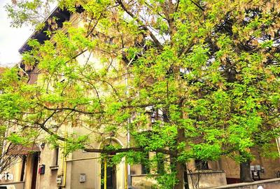 Apartament cu 3 camere în Primăverii