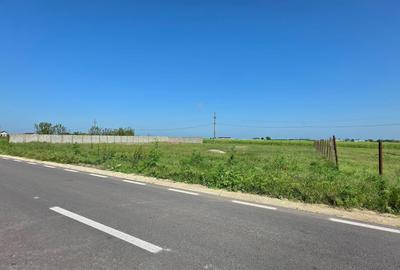 Teren Construcții extravilan de 2000 mp, în Movilița - 4