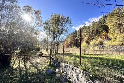 Teren Construcții intravilan de 4000 mp, în Brădet - 18