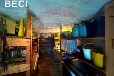 Casa din caramida cu 4 camere de vanzare in Bucumi MM langa DN - 24