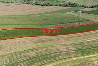 Teren agricol 5800mp - 8