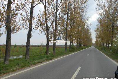 Teren de 5000 mp, în Ciolpani