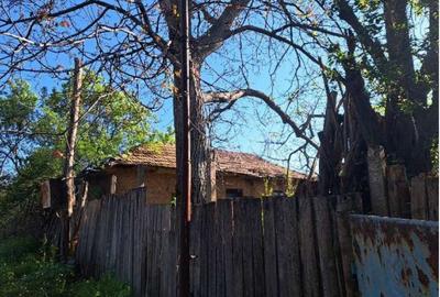 Casă cu 3 camere cu Teren 1853 Mp în Rogova - 2
