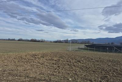 Spațiu comercial, în Colonia 1 Mai - 2