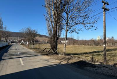 Teren de vânzare în Codlea - 3