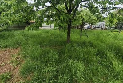 Casă cu 4 camere cu Teren 1767 Mp în Rădăuți - 6