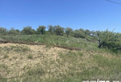 Teren de 23000 mp, în Dej - 3