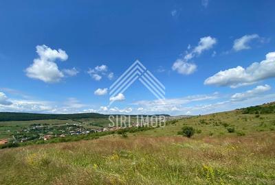 Teren intravilan 14.500mp, Chinteni, zona strazii muntii Cernei,ideal investitie - 3