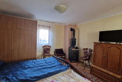 Casă cu 2 camere cu Teren 2700 Mp în Măhăceni - 5