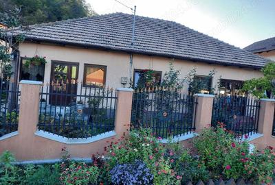 Casă cu 3 camere cu Teren 800 Mp în Dofteana - 9