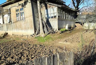 Casă cu Teren 4500 Mp în Izvoru (Gogoșari) - 1