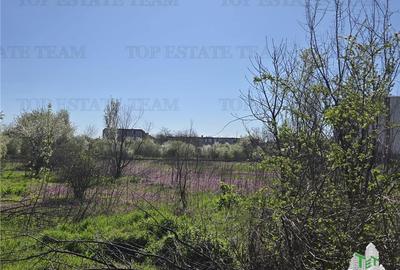 Teren Construcții intravilan de 8500 mp, în Militari - 6