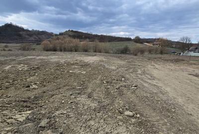 Spațiu comercial, în Sânișor - 1