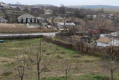 Intravilan sosea - 3