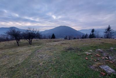 Teren agricol extravilan de 53360 mp, în Vama - 3