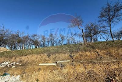 Teren în Cărbunari