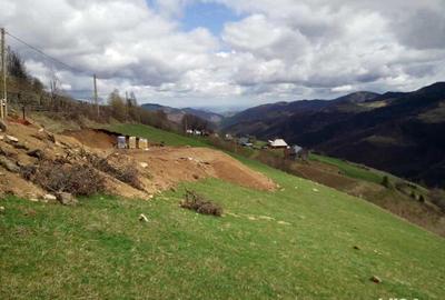 Teren de 5619 mp, în Măguri - 1