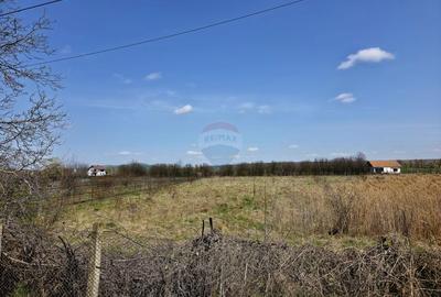 Teren Construcții intravilan de 7000 mp, în Girov - 9