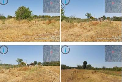 Teren intravilan Leu, Jud. Dolj, - 10