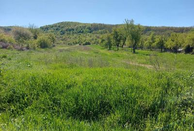 Spațiu comercial, în Vladimir - 4