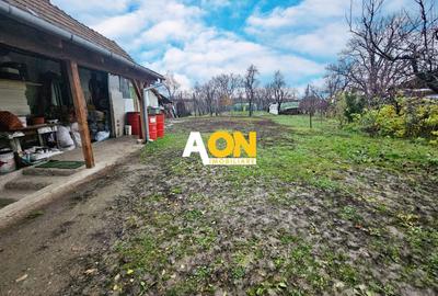 Casă individuală cu 5 camere cu Canalizare în Cetate - 2