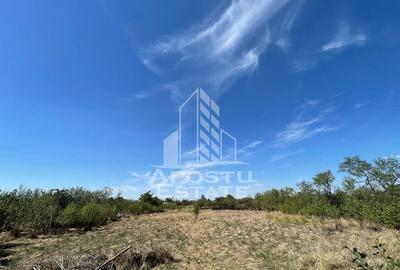 Casa cu teren 3407 mp, la asfalt, Seceani, 26 km de Timis... - 4